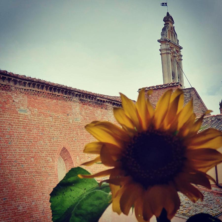 Appartaments San Francesco Castelfiorentino Ngoại thất bức ảnh